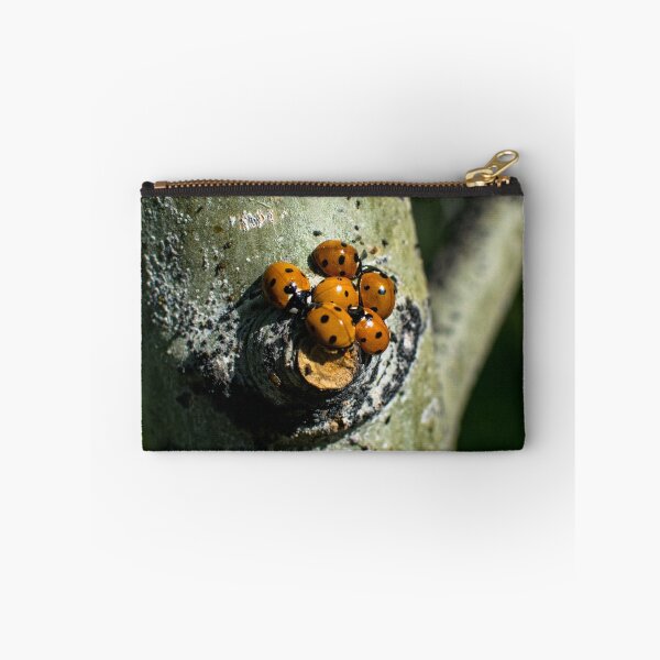 Item preview, Lady bugs clustering designed and sold by CanadianWild418.