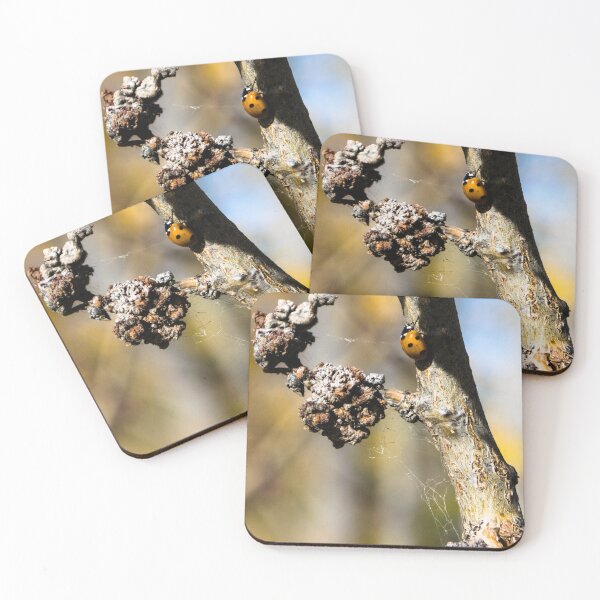 Item preview, Ladybug in the fall designed and sold by CanadianWild418.