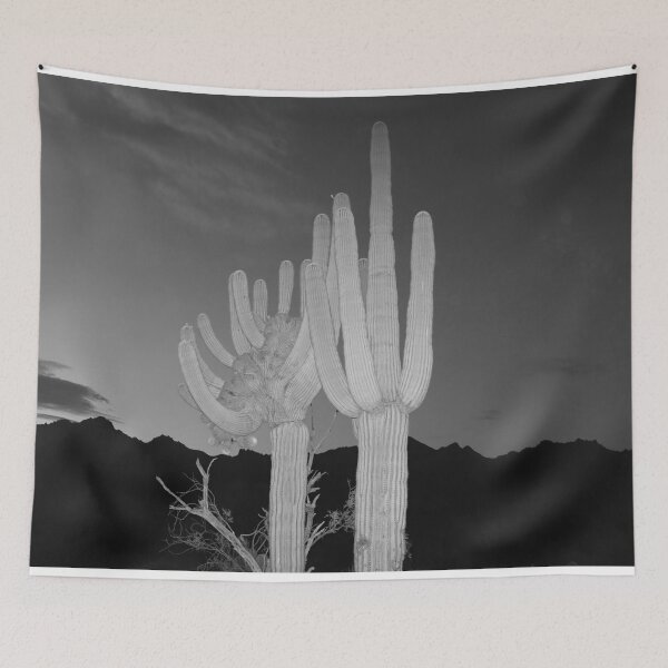 Item preview, Majestic Saguaros At Night designed and sold by simonjayphotos.
