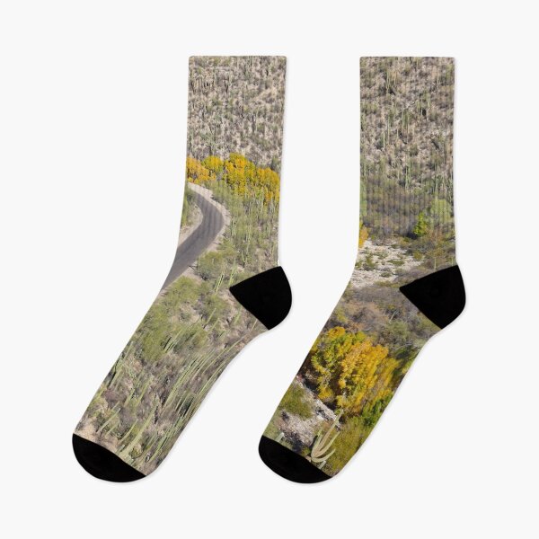 Item preview, Fall Trees And Saguaro Cacti designed and sold by simonjayphotos.