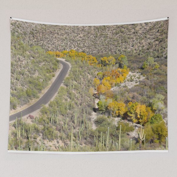 Item preview, Fall Trees And Saguaro Cacti designed and sold by simonjayphotos.