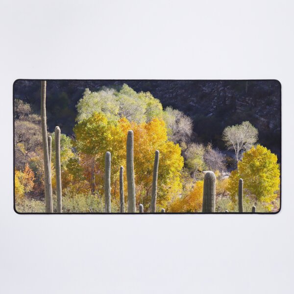 Item preview, Stunning Yellow Leaves And Saguaros designed and sold by simonjayphotos.