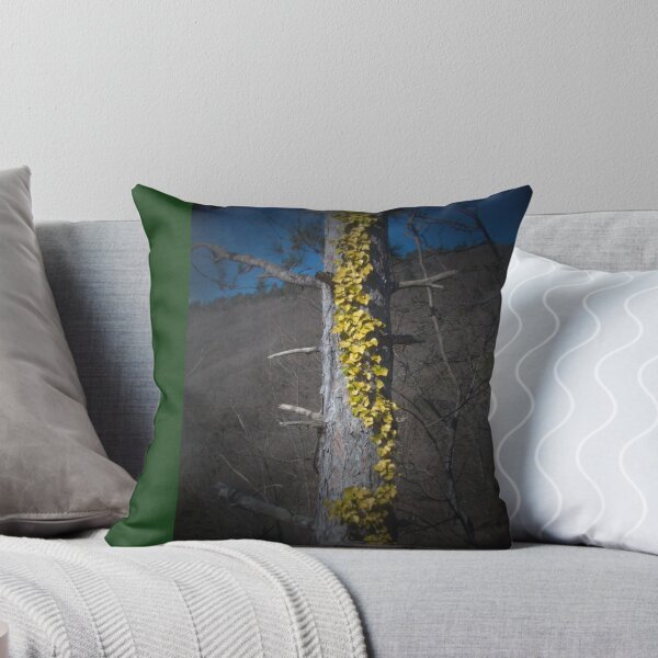 Item preview, 2015 Edera in autunno designed and sold by robertoferrero.
