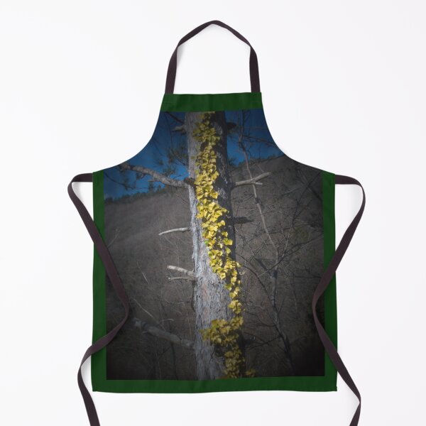 Item preview, 2015 Edera in autunno designed and sold by robertoferrero.