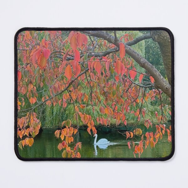 Item preview, Autumnal London Scenes. St James’s Park, October 2025 designed and sold by The Running London Photographer.