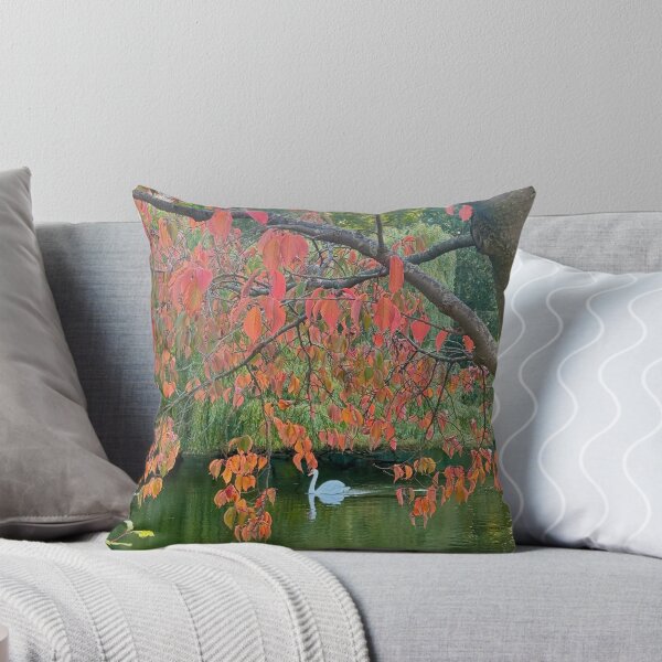 Item preview, Autumnal London Scenes. St James’s Park, October 2025 designed and sold by The Running London Photographer.