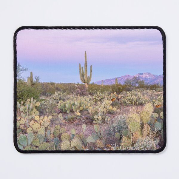 Item preview, Desert Landscape with Saguaros and Cacti designed and sold by jvnimages.