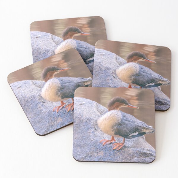 Item preview, Merganser on the Rock designed and sold by jvnimages.