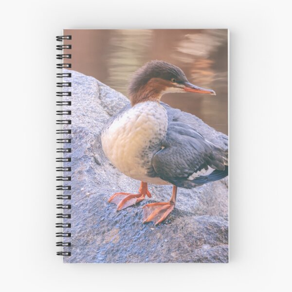 Item preview, Merganser on the Rock designed and sold by jvnimages.