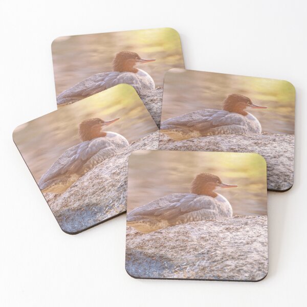 Item preview, Merganser Resting on the Rock designed and sold by jvnimages.