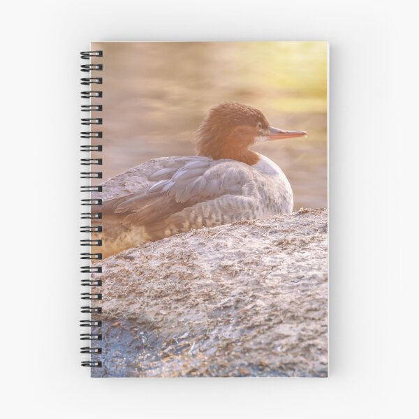 Item preview, Merganser Resting on the Rock designed and sold by jvnimages.