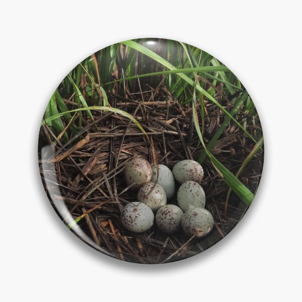 Item preview, Clapper Rail nest designed and sold by KateGood70.
