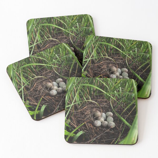 Item preview, Clapper Rail nest designed and sold by KateGood70.