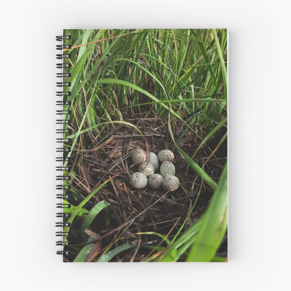 Item preview, Clapper Rail nest designed and sold by KateGood70.