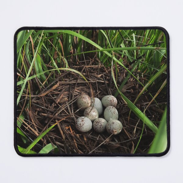 Item preview, Clapper Rail nest designed and sold by KateGood70.
