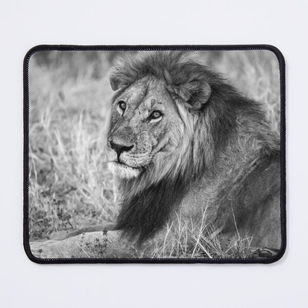 Item preview, Sekoti — Last Light of the Renegades, Savuti designed and sold by DavideAntoniani.