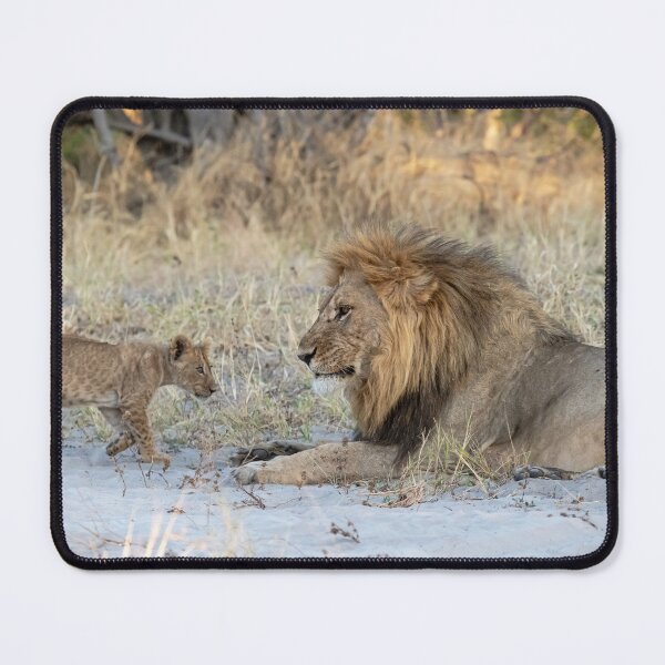 Item preview, Sekoti & His Cub — Legacy of the Northern Pride, Savuti designed and sold by DavideAntoniani.