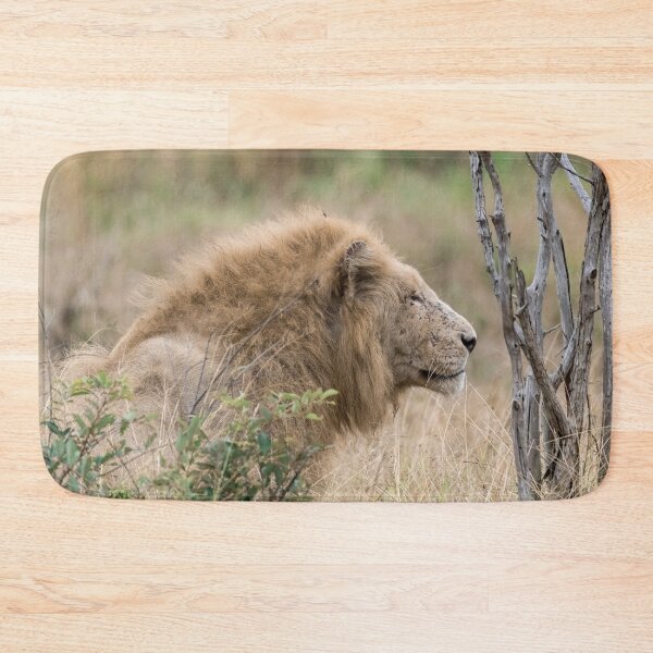 Item preview, Casper — The White Lion of Kruger, Shishangaan Coalition designed and sold by DavideAntoniani.
