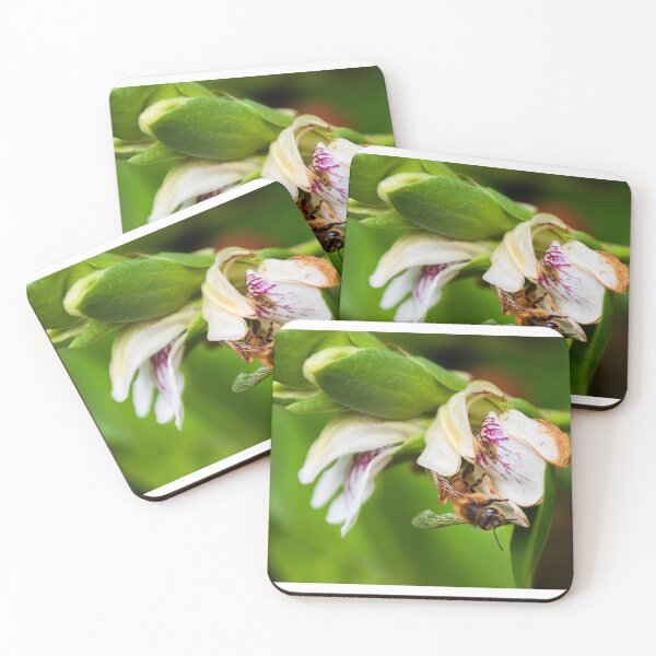 Item preview, Bee collecting pollen designed and sold by Dan Parish Photography.