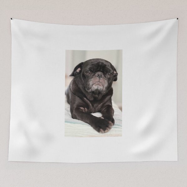 Item preview, Black Pug designed and sold by Iexplorethe universe.