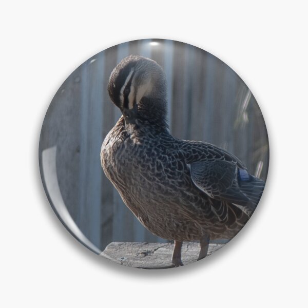 Item preview, Duck on a bench designed and sold by Dan Parish Photography.