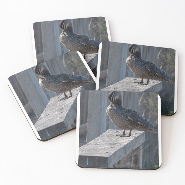 Item preview, Duck on a bench designed and sold by Dan Parish Photography.
