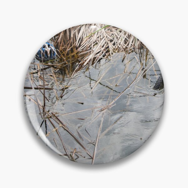 Item preview, bike and helmet in a pond designed and sold by Dan Parish Photography.