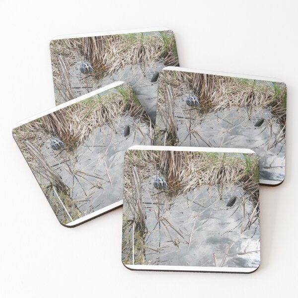 Item preview, bike and helmet in a pond designed and sold by Dan Parish Photography.