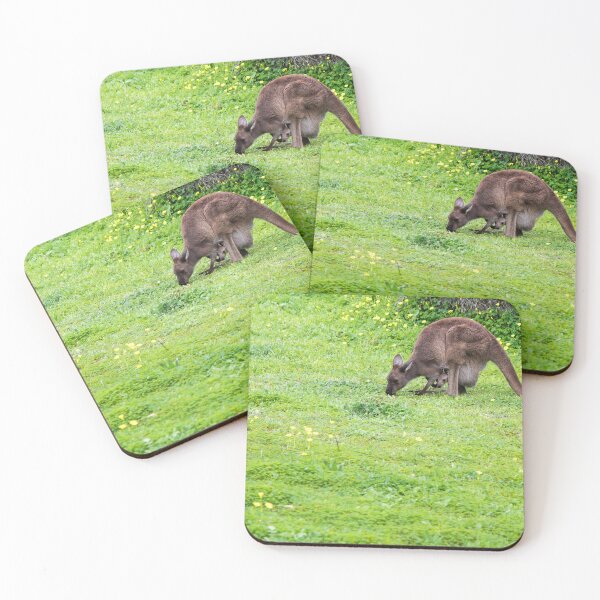 Item preview, Kangaroo and joey designed and sold by Dan Parish Photography.
