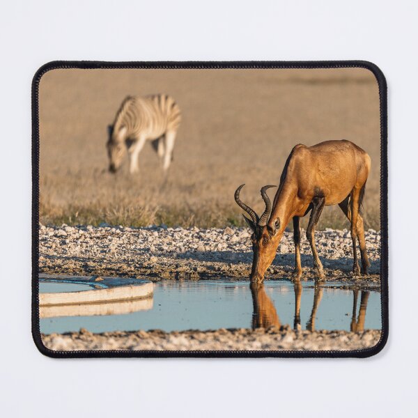 Item preview, Gold at the Waterhole — Red Hartebeest & Zebra, Etosha designed and sold by DavideAntoniani.