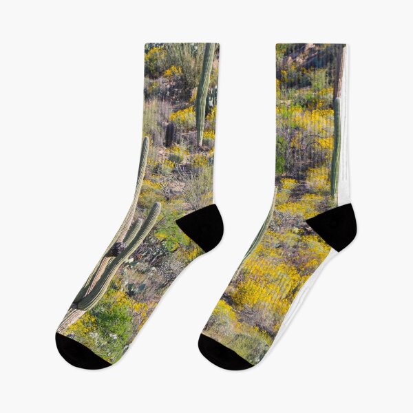 Artikelvorschau, Saguaro-Kakteen und gelbe Blumen entworfen und verkauft von simonjayphotos.