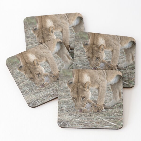 Item preview, A Mother’s Quiet Lesson — Khwai, Okavango Delta designed and sold by DavideAntoniani.