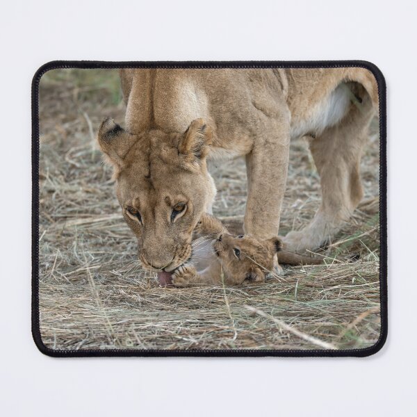 Item preview, A Mother’s Quiet Lesson — Khwai, Okavango Delta designed and sold by DavideAntoniani.