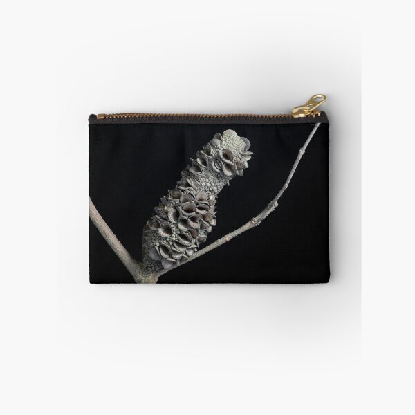 Item preview, Banksia Seed Pod designed and sold by The Saltwater Woman.