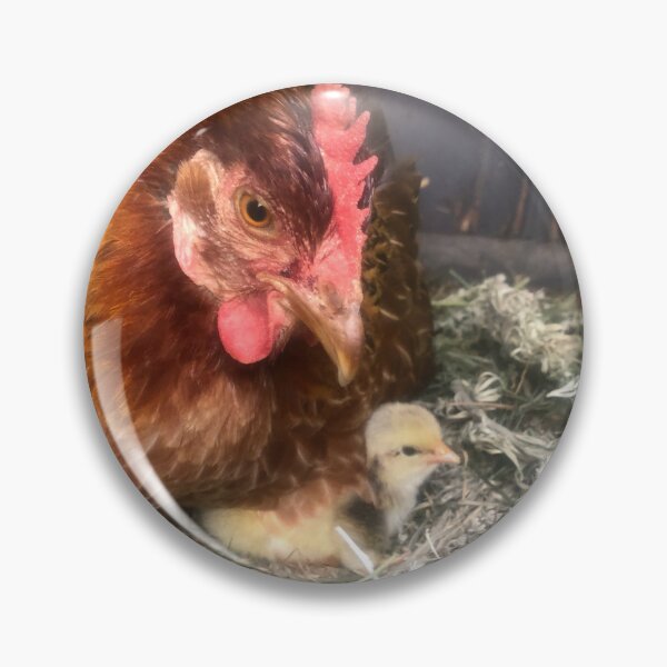 Item preview, Tiny chick and hen designed and sold by Clare Colins.