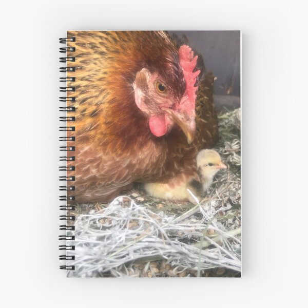 Item preview, Tiny chick and hen designed and sold by Clare Colins.