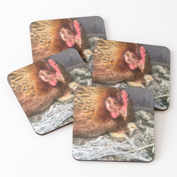 Item preview, Tiny chick and hen designed and sold by Clare Colins.