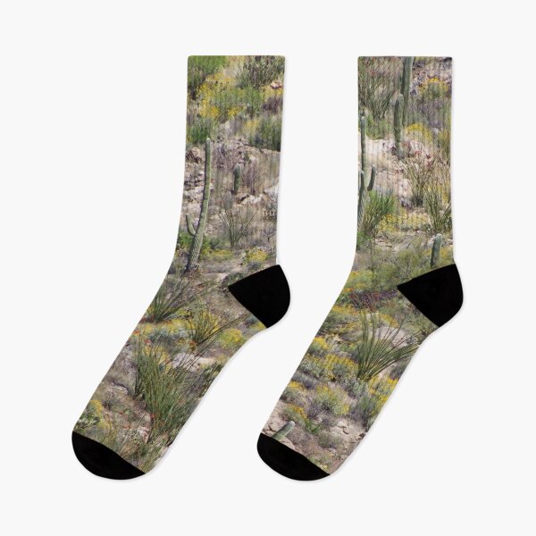 Item preview, Stunning Saguaro National Park View designed and sold by simonjayphotos.