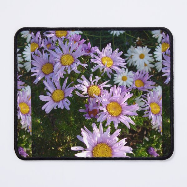 Item preview, Lilac Daisy Flower Daisies Garden Photo With Yellow Centre designed and sold by Sarah Rajkotwala.