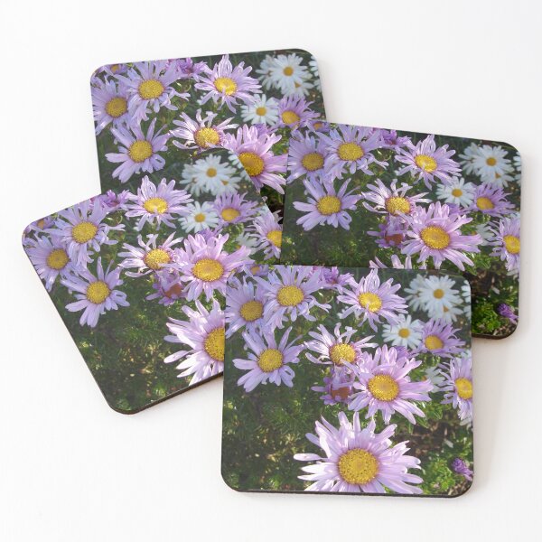 Item preview, Lilac Daisy Flower Daisies Garden Photo With Yellow Centre designed and sold by Sarah  Rajkotwala.