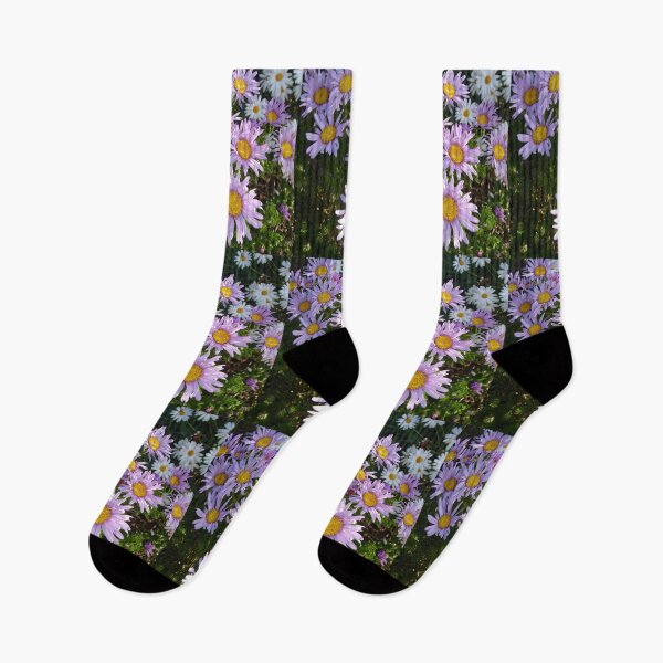 Item preview, Lilac Daisy Flower Daisies Garden Photo With Yellow Centre designed and sold by Sarah  Rajkotwala.