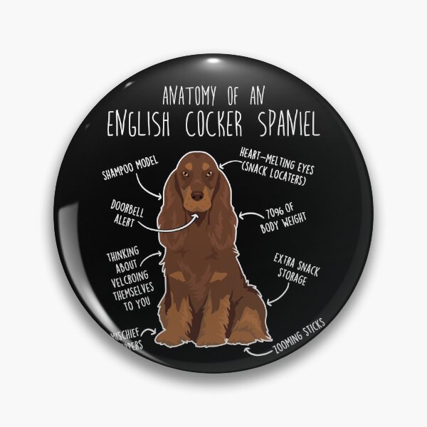 Item preview, Liver and Tan English Cocker Spaniel Dog Anatomy designed and sold by Clara Hollins.