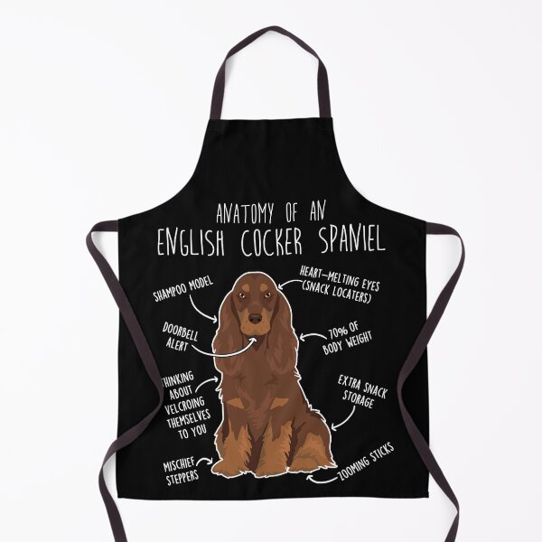 Item preview, Liver and Tan English Cocker Spaniel Dog Anatomy designed and sold by Clara Hollins.