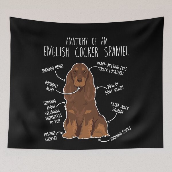Item preview, Liver and Tan English Cocker Spaniel Dog Anatomy designed and sold by Clara Hollins.