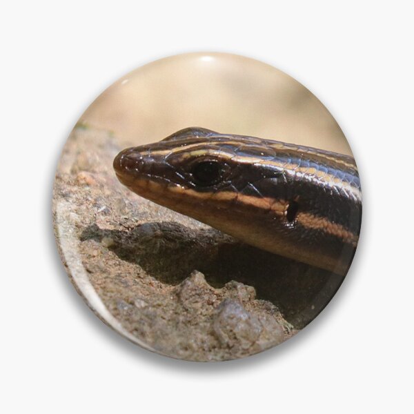 Item preview, Skink designed and sold by Parks and X.