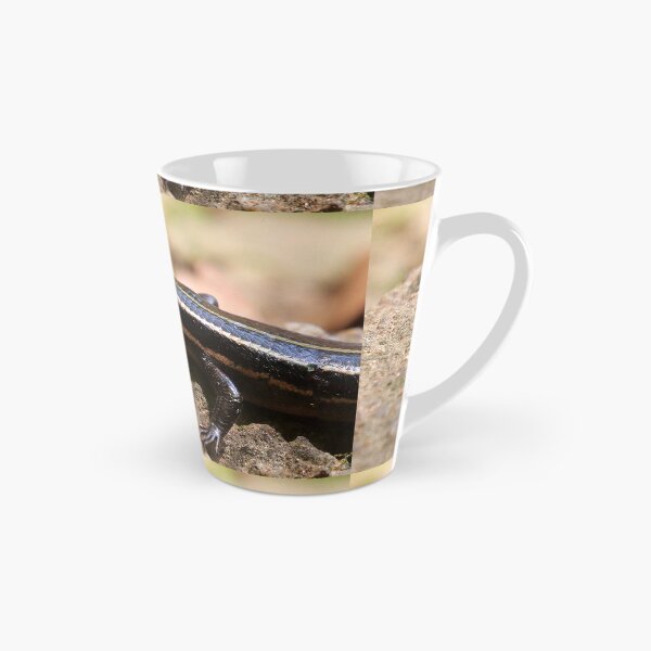 Item preview, Skink designed and sold by Parks and X.