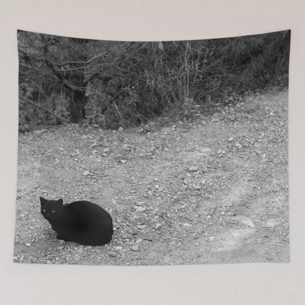 Item preview, 2015 Gatto nero #02 designed and sold by robertoferrero.