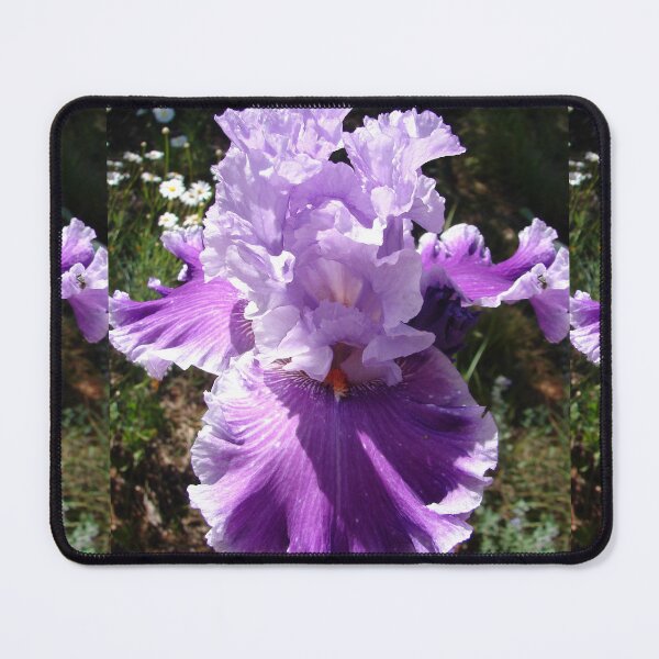 Item preview, Purple Iris Flower Garden Photo Lavender designed and sold by Sarah  Rajkotwala.