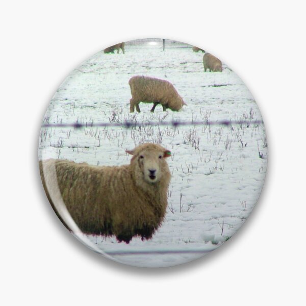 Item preview, Sheep in Snow Covered Paddocks New Zealand designed and sold by Dianne Mead.