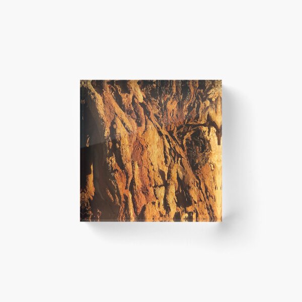 Item preview, Textured Tree Bark Close-Up In Morning Sunlight  designed and sold by DEC02.